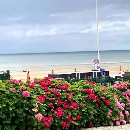 Face Accès Direct Appartement *